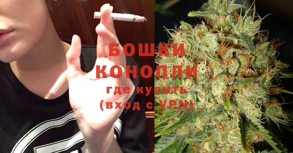 PSILOCYBIN Кизел