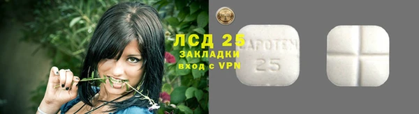 ГАЛЛЮЦИНОГЕННЫЕ ГРИБЫ Покровск