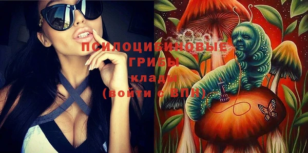 spice Покров