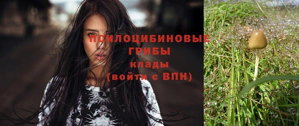 spice Покров