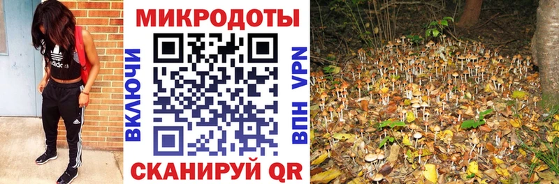 Галлюциногенные грибы Cubensis  цены наркотик  KRAKEN ONION  Кудымкар 